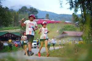 BIB: 
                            <button type="button" onclick="openModal(19205308)" class="btn btn-primary btn-sm float-right btn-popup" data-toggle="modal" data-target=".modal-high-quality">
                        <i class="fas fa-shopping-cart"></i> Add to Cart
                    </button>
                                            <button type="button" onclick="isThisMe(19205308, true)" class="btn btn-success btn-sm float-right btn-popup btn-isme hidden" data-toggle="tooltip" data-placement="bottom" title="นี่คือรูปของคุณใช่ไหม คลิกที่นี่เพื่อเอาเข้าอัลบั้ม">
                        <i class="fas fa-plus"></i> Add to album
                    </button>
                    <button type="button" onclick="isThisMe(19205308, false)" class="btn btn-warning btn-sm float-right btn-popup btn-isnotme hidden">
                        <i class="fas fa-ban"></i> Remove from album
                    </button>